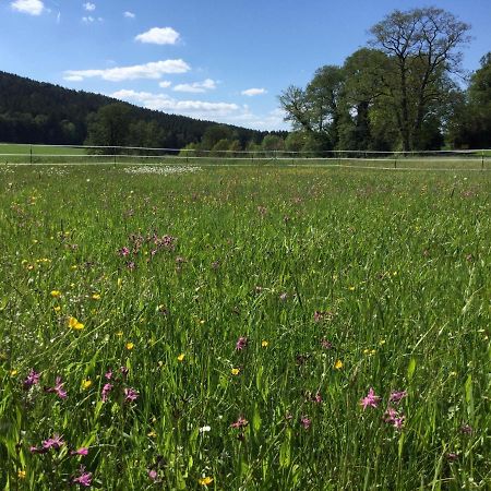 Haus Am Treffenbach Lejlighed Waldmünchen Eksteriør billede