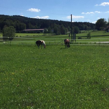Haus Am Treffenbach Lejlighed Waldmünchen Eksteriør billede