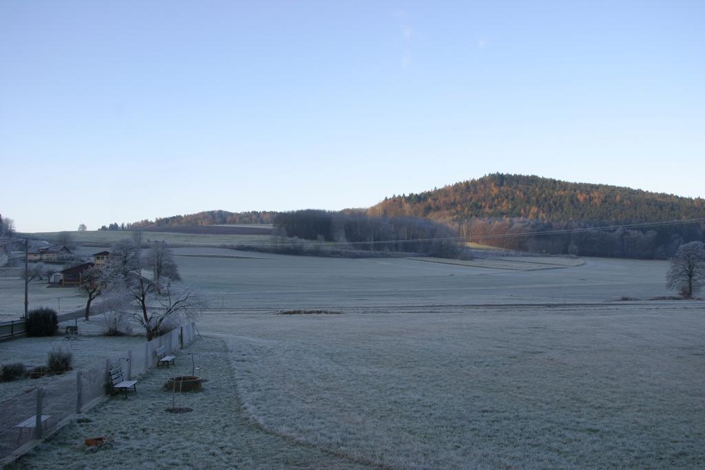 Haus Am Treffenbach Lejlighed Waldmünchen Eksteriør billede