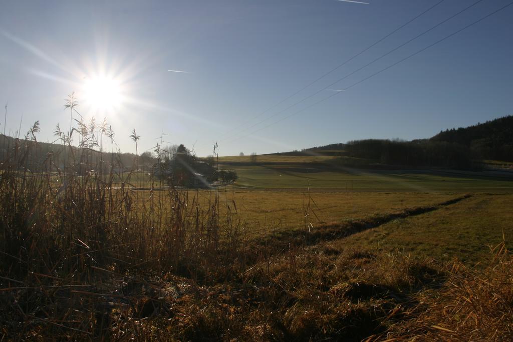 Haus Am Treffenbach Lejlighed Waldmünchen Eksteriør billede