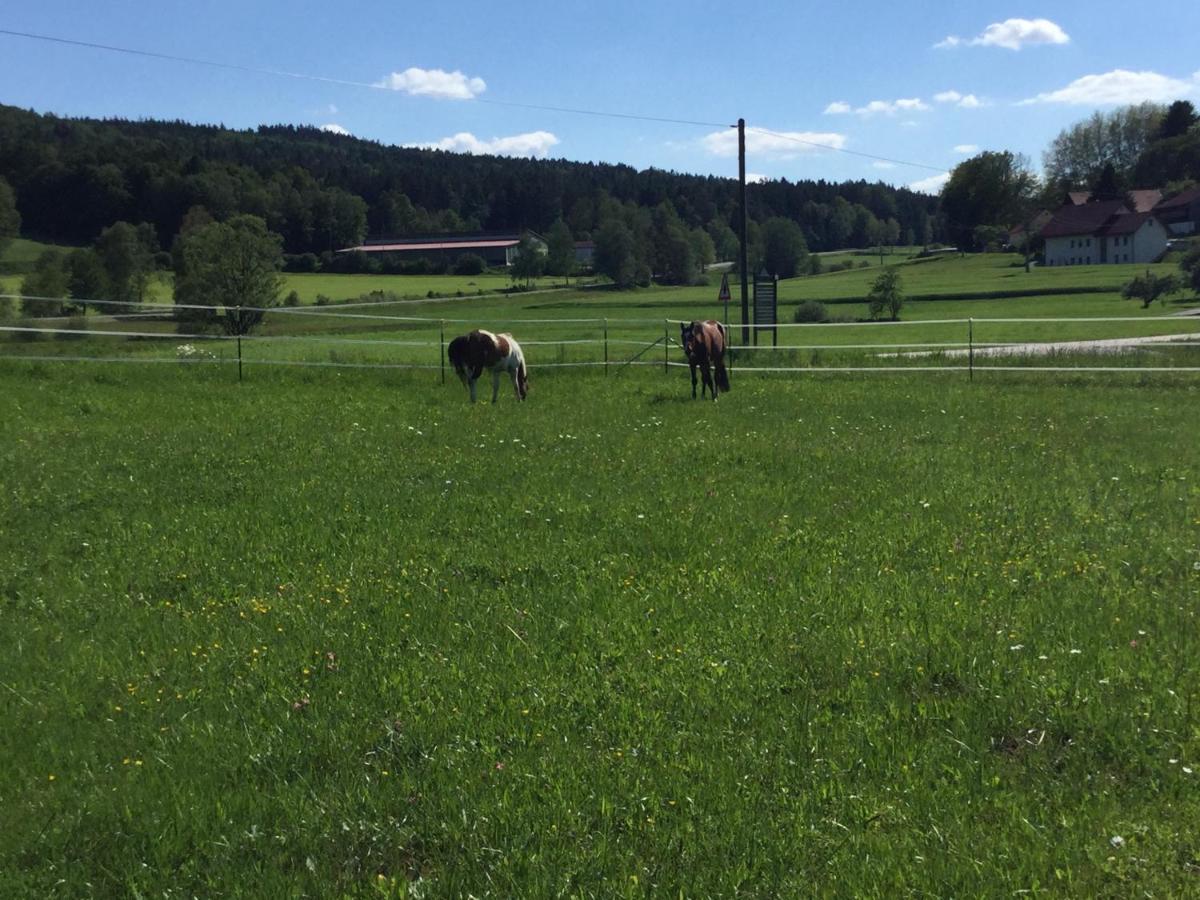 Haus Am Treffenbach Lejlighed Waldmünchen Eksteriør billede